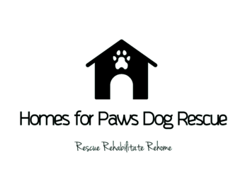 Homes For Paws Dog Rescue